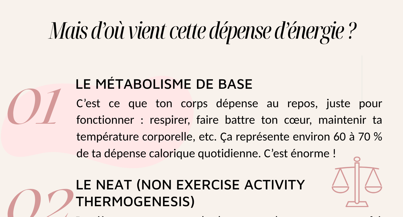 Guide sur la sèche